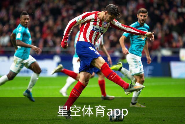 星空体育app公司简介图片